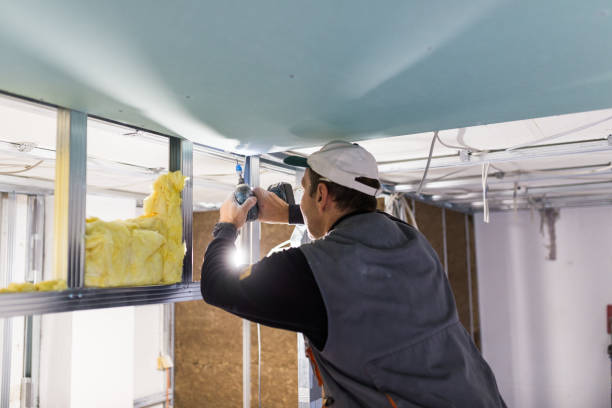 Best Blown-in Insulation in Homer, MI