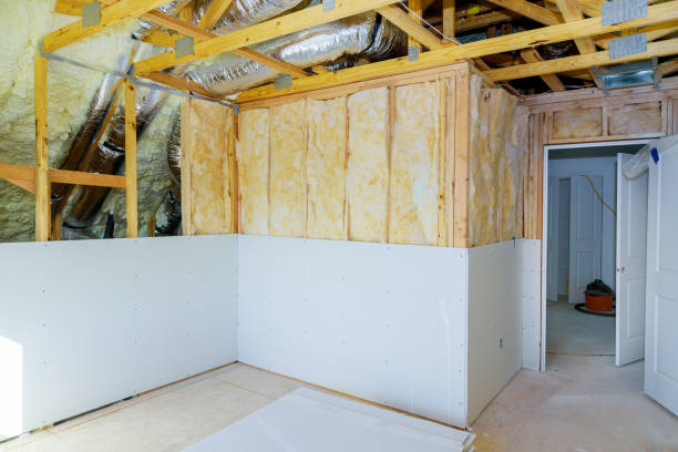 Best Eco-Friendly Insulation in Homer, MI