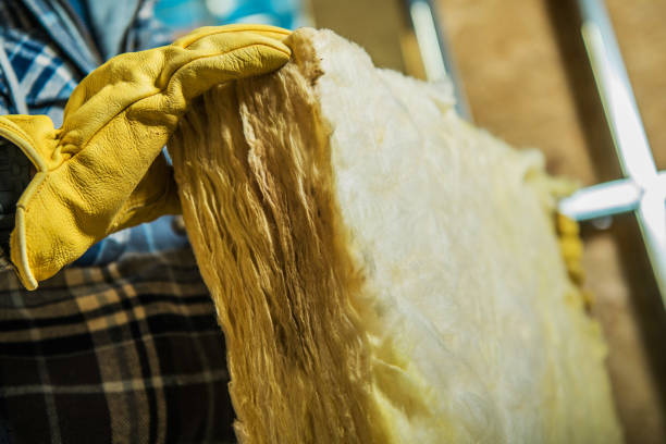 Best Residential Insulation in Homer, MI