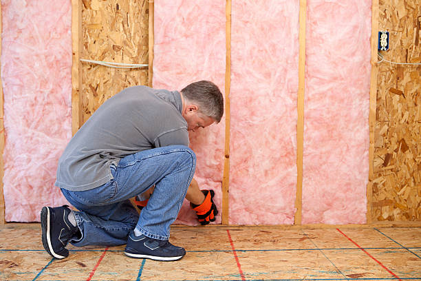 Best Cellulose Insulation in Homer, MI