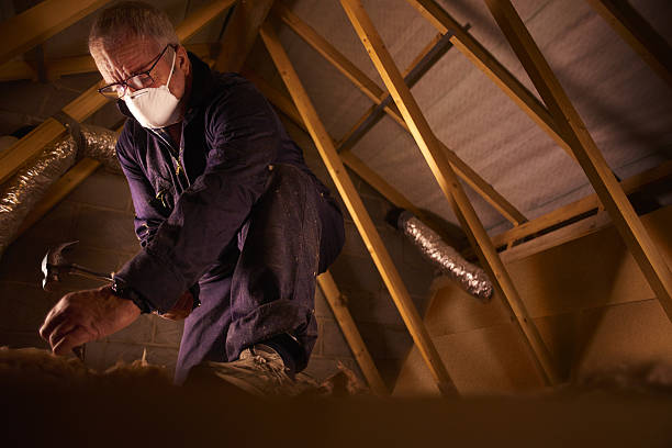 Best Geographic-Specific Insulation Services in Homer, MI