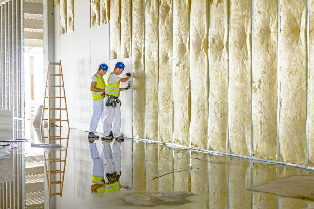 Best Spray Foam Insulation in Homer, MI